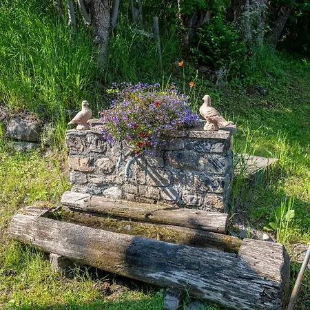 Superbe Ferme Renovee En De Luxe En Pleine Nature バルスロネット